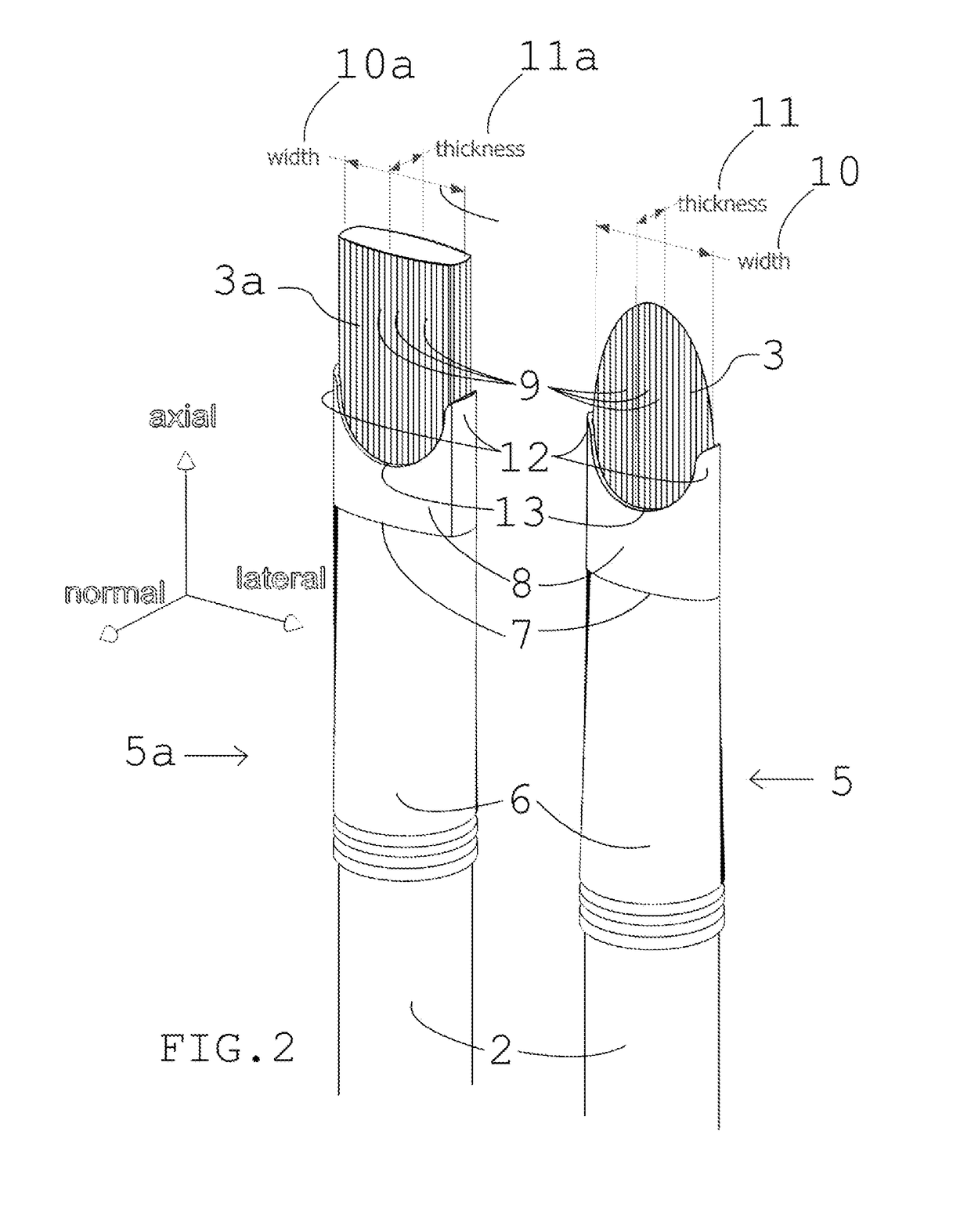 Lateral Support Brush