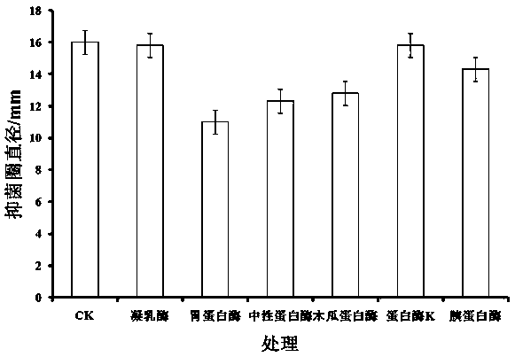 Lactobacillus rhamnosus and application thereof in preparing bacteriocin