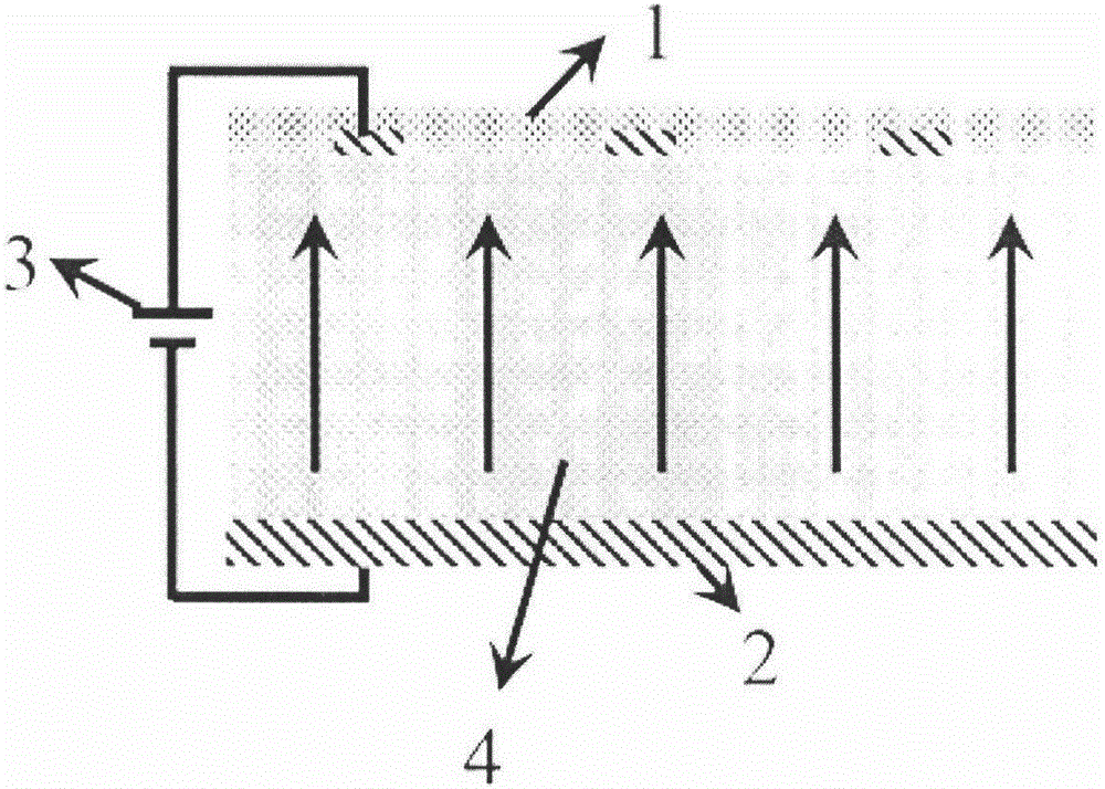 Preparation apparatus and method of lithium niobate crystal nano domain structure