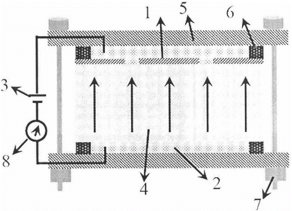 Preparation apparatus and method of lithium niobate crystal nano domain structure