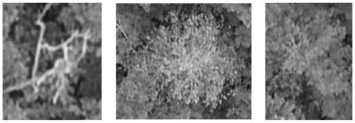 Method for batch extraction of similar target contours with single color in aerial images