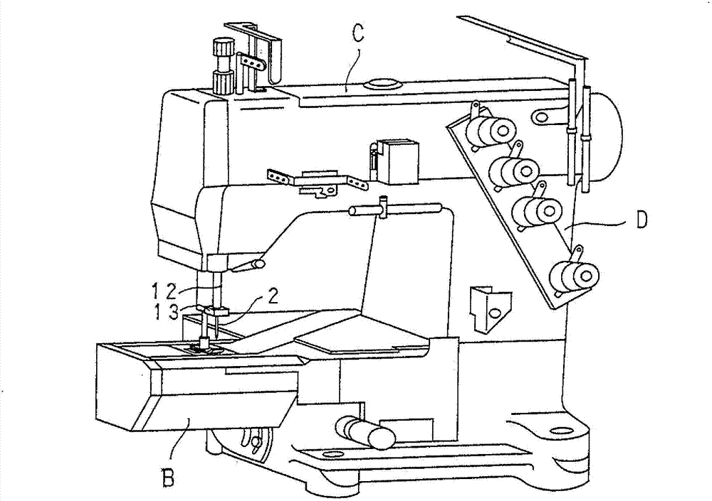 Method for preventing seam ravel of multi-thread chain stitches, seam ravel preventing apparatus for multi-thread chain stitch sewing machine, and multi-thread chain stitch seam structure