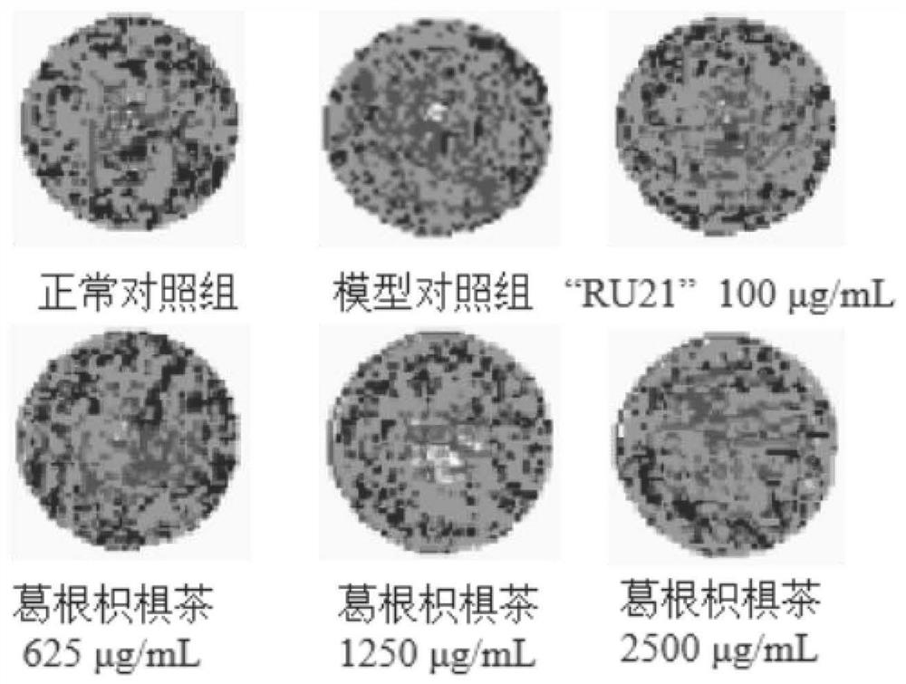 Tea drink with effects of dispelling effects of alcohol and protecting liver and preparation method of tea drink