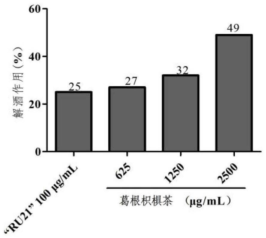 Tea drink with effects of dispelling effects of alcohol and protecting liver and preparation method of tea drink