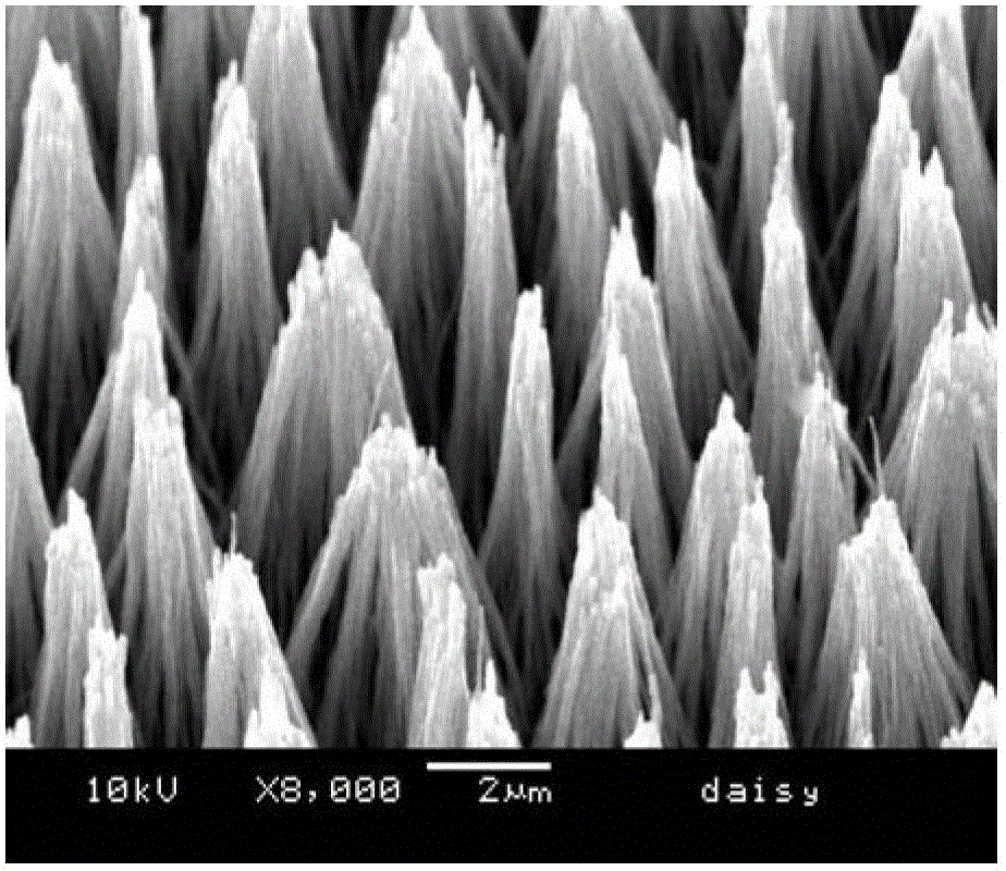 Method for preparing boron-doped diamond and carbon nanotube composite nanocone