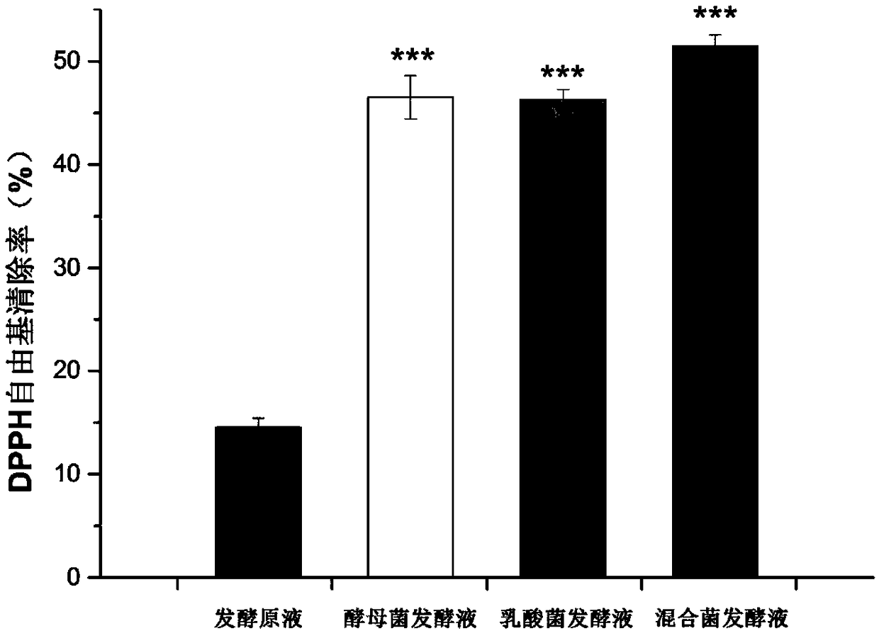 Prinsepia utilis royle extract cake fermentation broth, as well as preparation method and application in cosmetics thereof