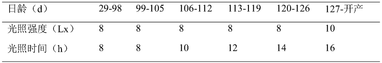 Illuminating farming method to adjust and control sexual maturity of high-quality broiler breeders