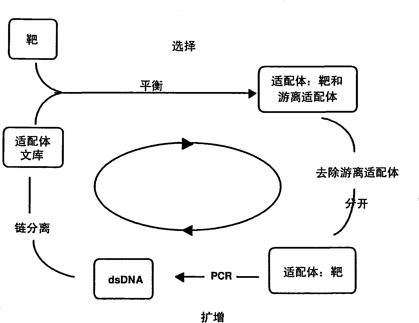 Method for generating aptamers with improved off-rates