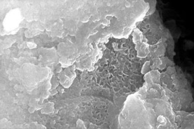 A kind of petrochemical wastewater treatment method based on heterogeneous catalytic ozone oxidation