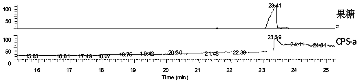 Codonopsis pilosula homogeneous polysaccharide with anti-gastric ulcer, preparation method and application