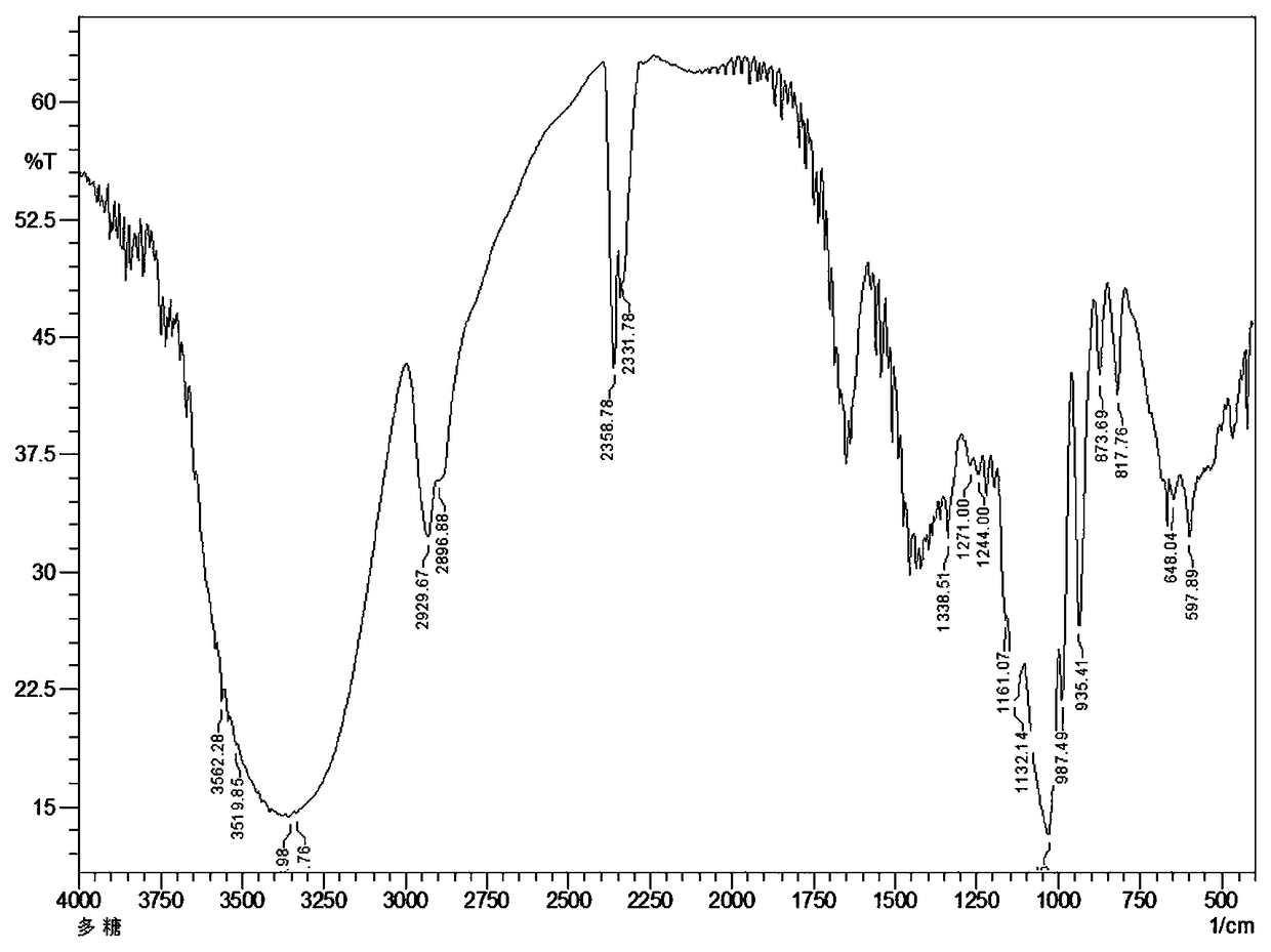 Codonopsis pilosula homogeneous polysaccharide with anti-gastric ulcer, preparation method and application