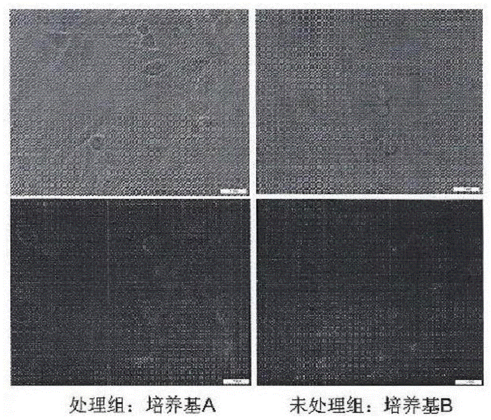 A kind of multi-polar micro-kinetic energy drinking water and its preparation method and application