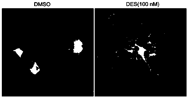 Application of D-erythro-Sphingosine in central nervous system