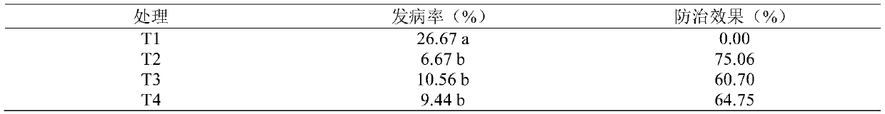 Efficient two-cop one-year planting method for tobacco-rapeseeds in cold tobacco region in north