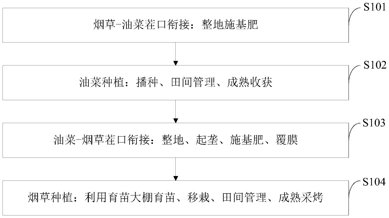 Efficient two-cop one-year planting method for tobacco-rapeseeds in cold tobacco region in north