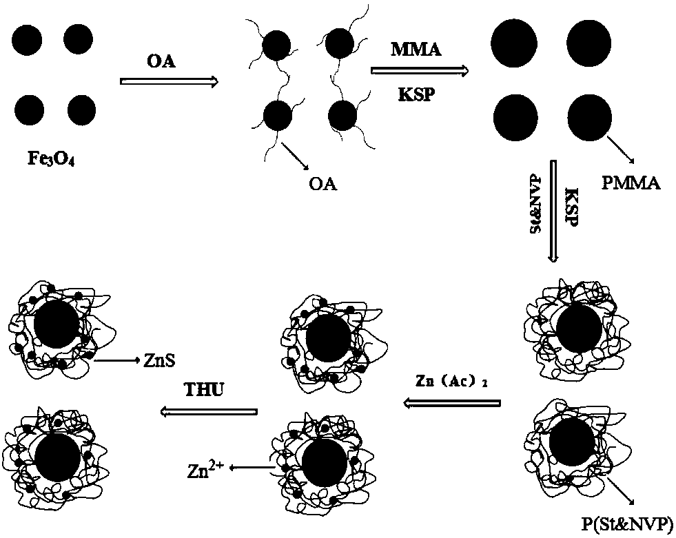 A kind of preparation method of magnetic fluorescent composite material