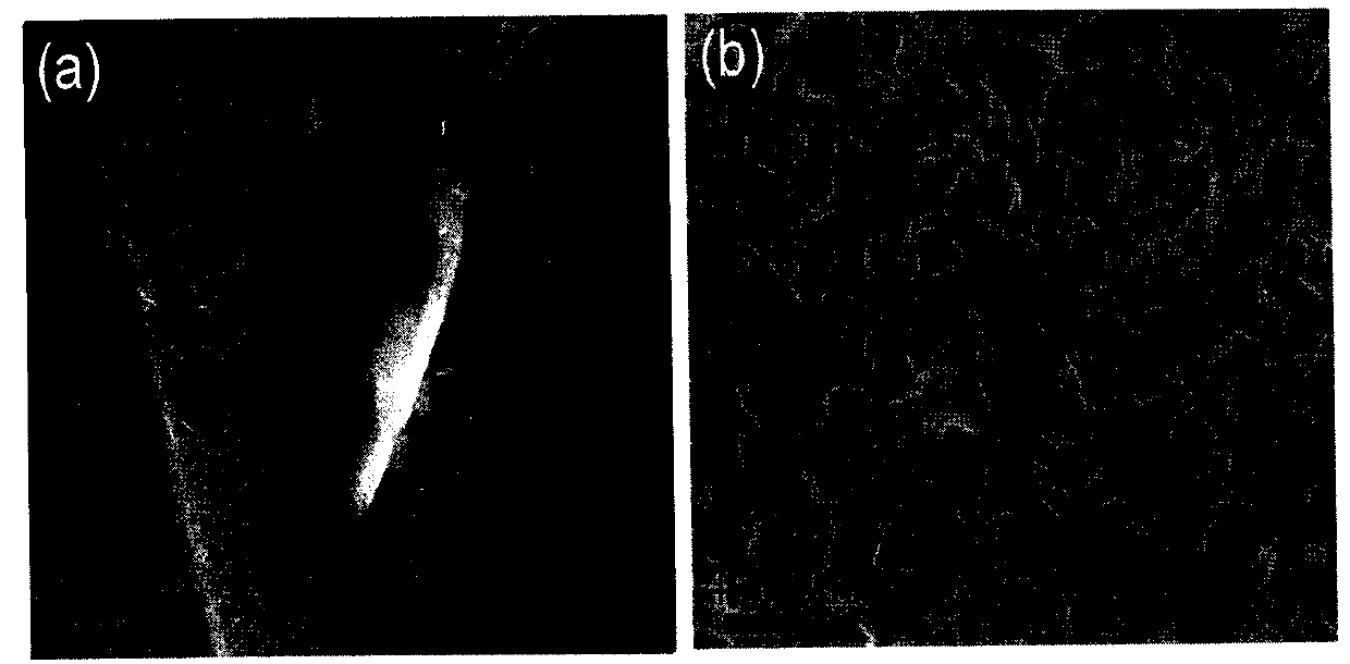 Preparation method and application of flaky zinc-silicon layered double hydroxyl composite hydroxide photocatalyst