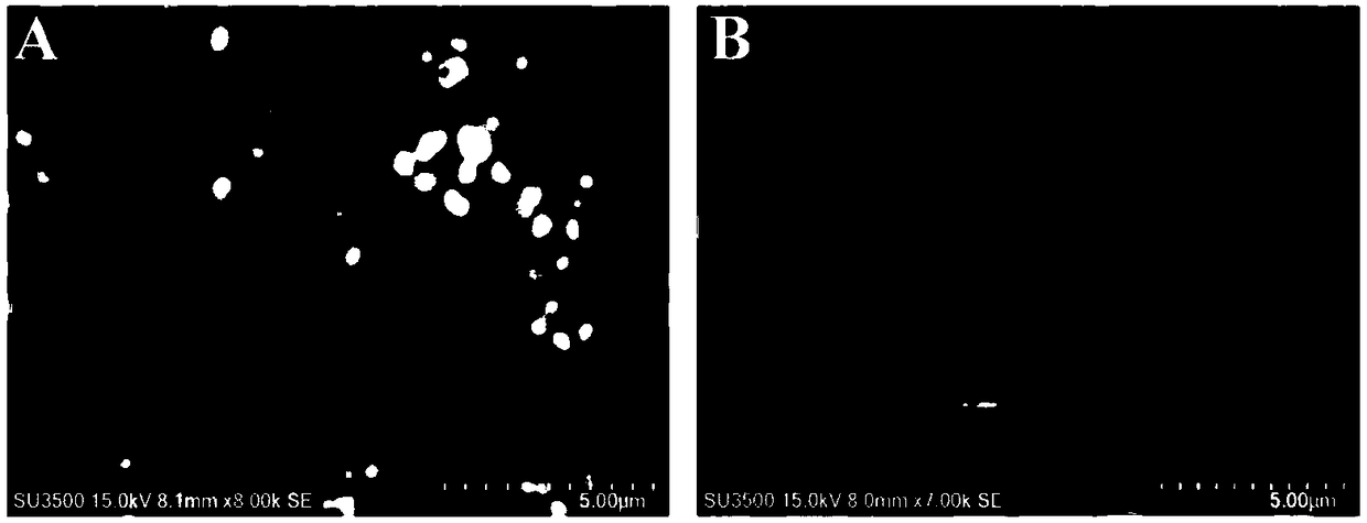 Nitrogen-doped and carbon-coated magnetic nanoparticle composite microspheres and preparation method thereof