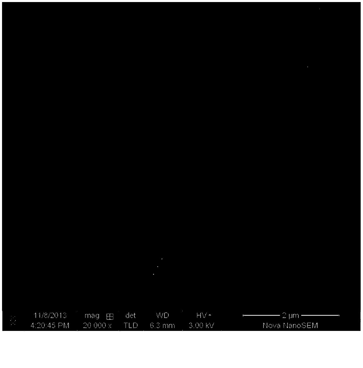 Polyvinyl alcohol mircrobubbles and preparing method thereof