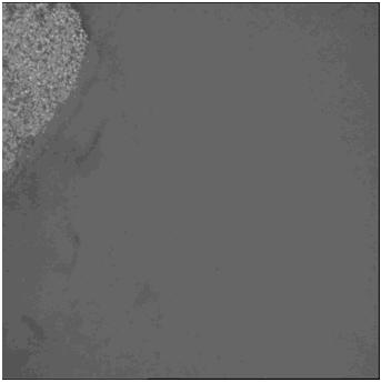 Method for growing patterned graphene film on surface of hydroxyapatite