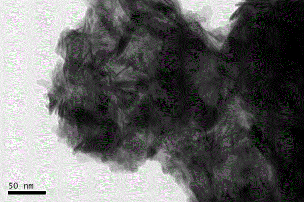 Defect-rich ultra-thin bismuth oxyiodide nano-sheet preparation method