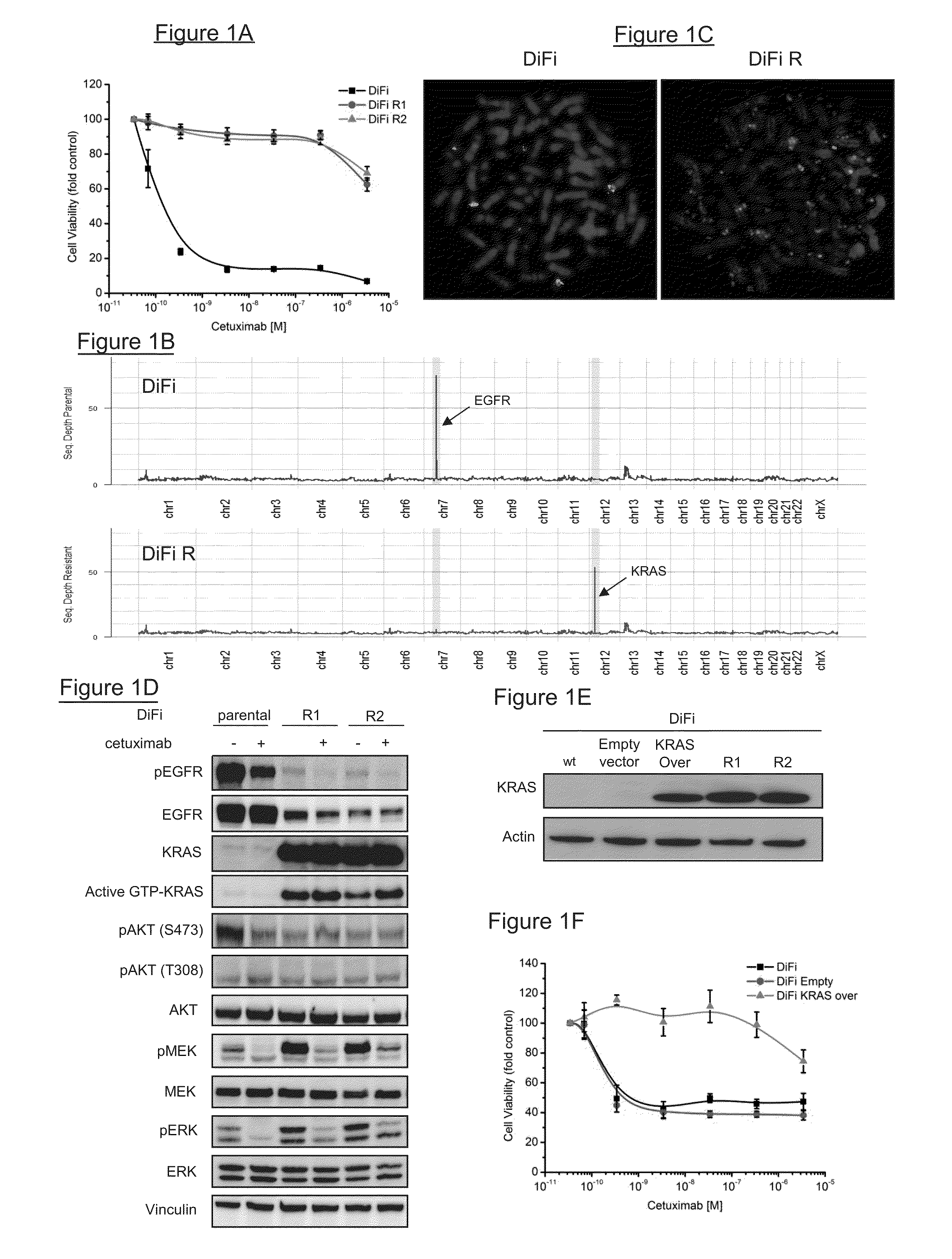 Kras mutations and resistance to Anti-egfr treatment