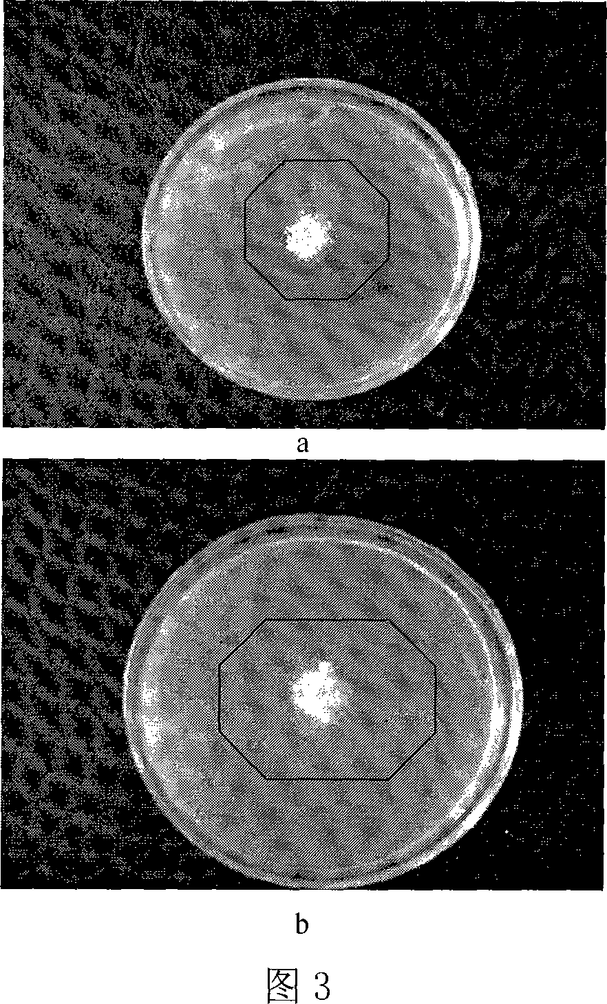 Method for preparing nano natural silk protein powder