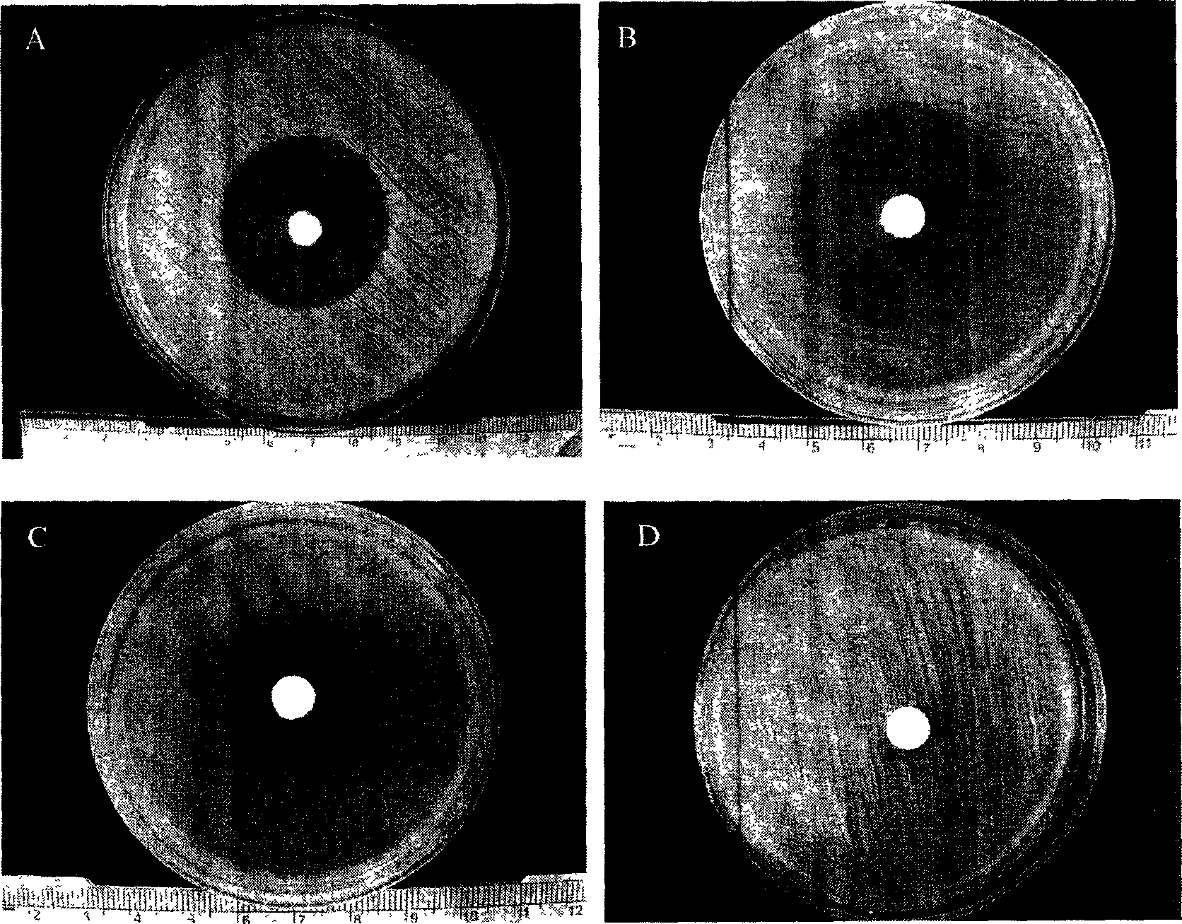 Carrier of regulating medicine releasing speed and preparation thereof