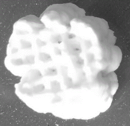 Preparation method for three-dimensionally printing biological ceramic scaffold by using a biological ceramic ink