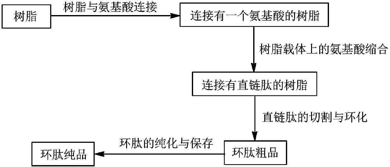 Preparation method of homogeneous cyclic peptide Cyclo-(Ala)4