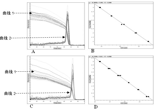 Detection method of titer of recombinant lentivirus