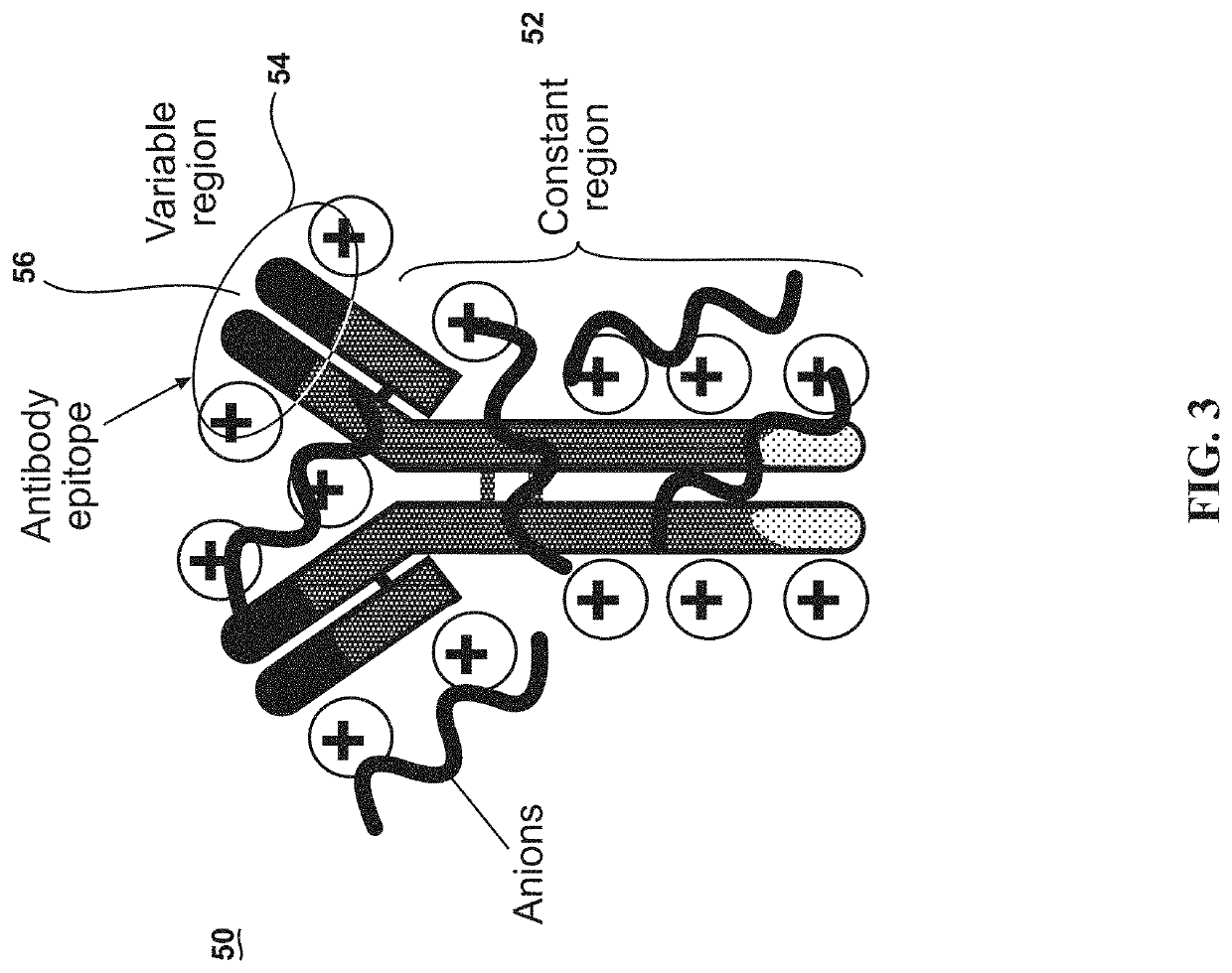 Ultrastable antibody ionic liquids