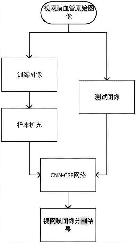 Efficient CNN-CRF network-based retina image segmentation method