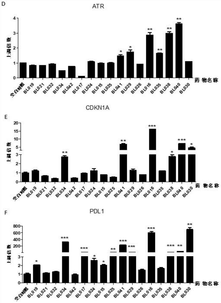 BCL6-targeting aromatic ring five-membered aromatic heterocyclic micromolecular organic compound and derivative and application thereof