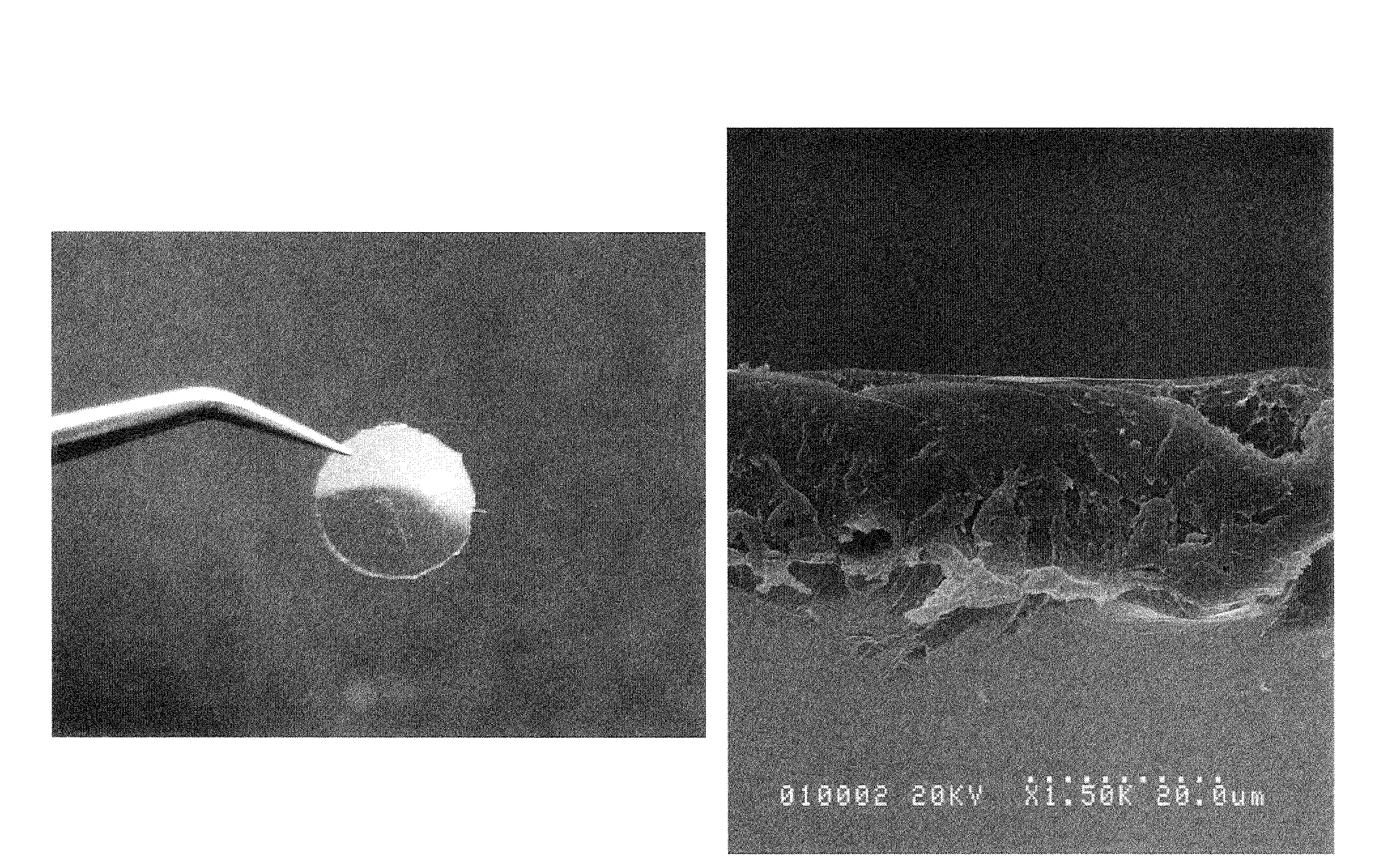 Artificial eardrum using silk protein and method of fabricating the same