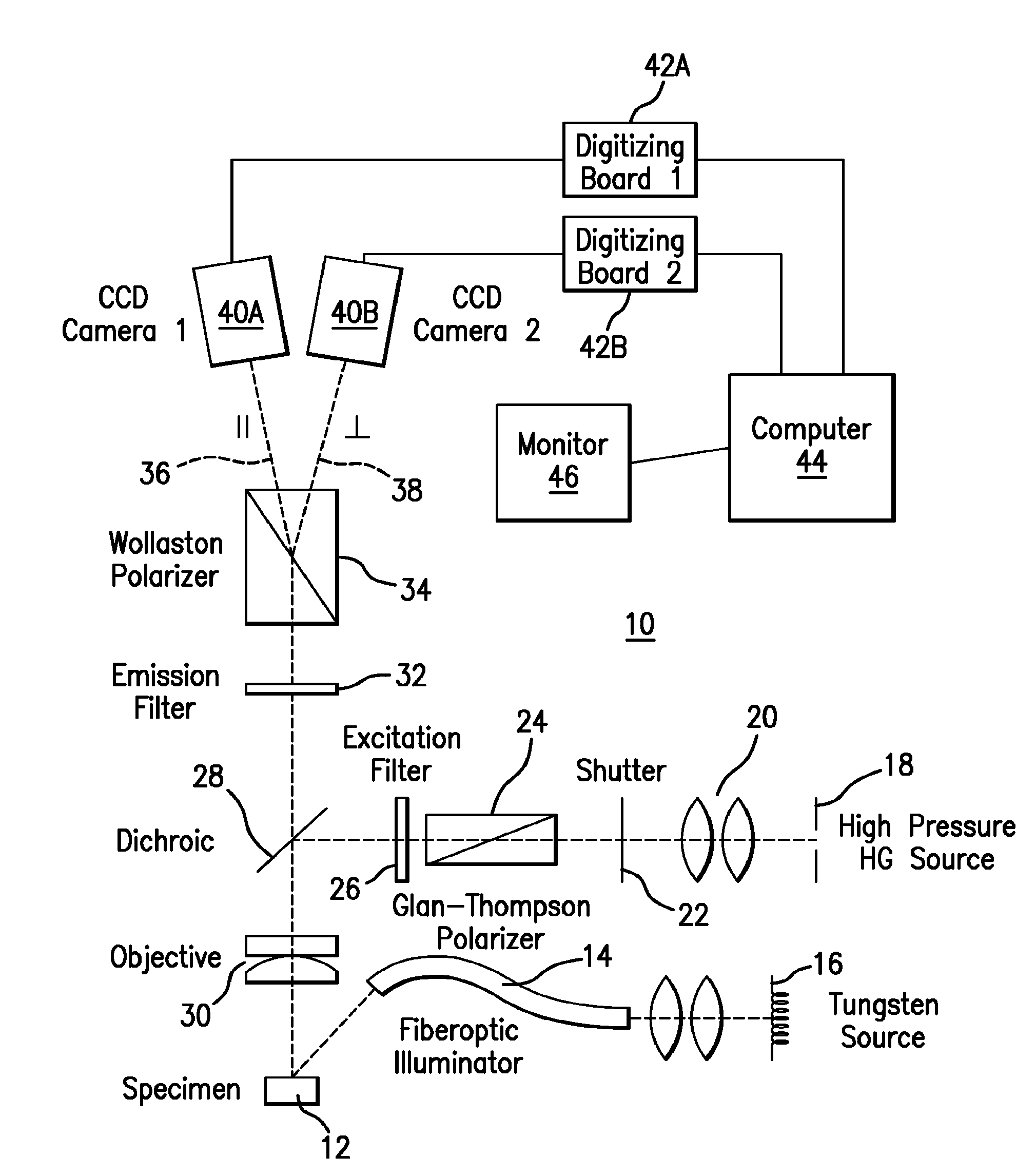 Apparatus for the non-invasive measurement of tissue function and metabolism by determination of steady-state fluorescence anisotropy