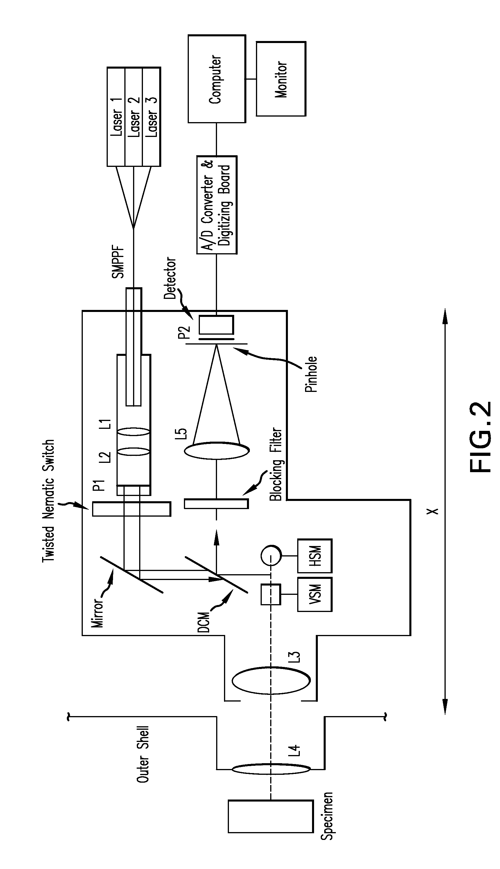 Apparatus for the non-invasive measurement of tissue function and metabolism by determination of steady-state fluorescence anisotropy