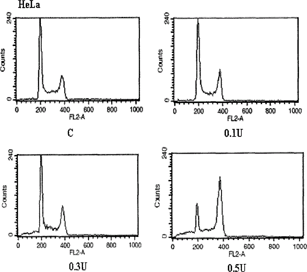 A spray for treating diseases caused by human papilloma viruses and a preparation method