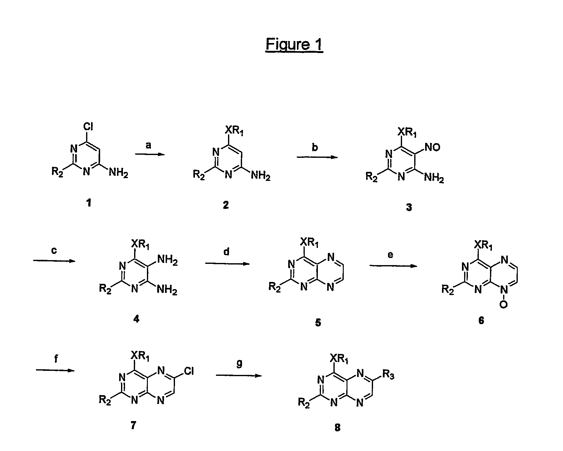 Pteridine derivatives for the treatment of septic shock and tnf-a-related diseases