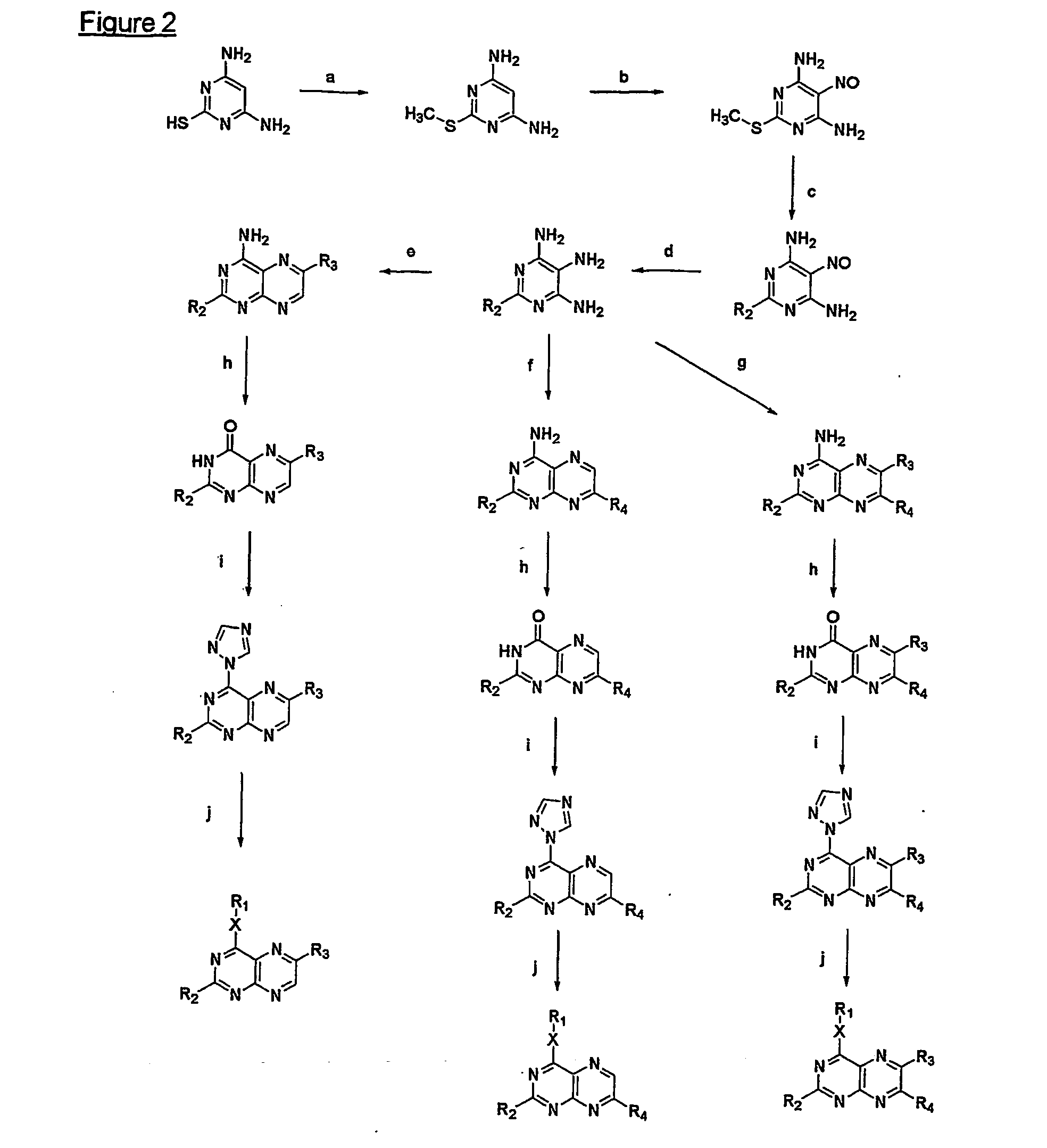 Pteridine derivatives for the treatment of septic shock and tnf-a-related diseases