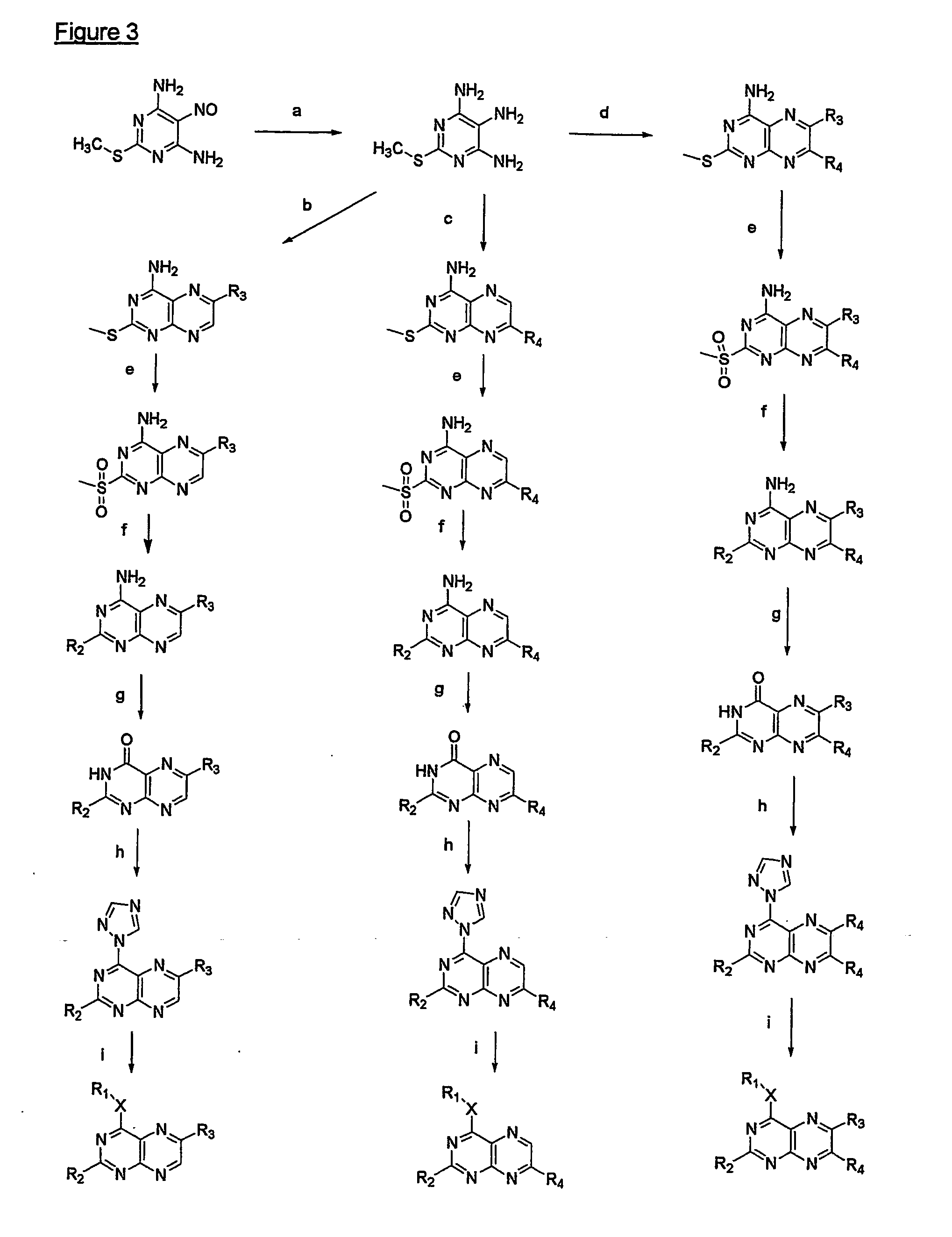 Pteridine derivatives for the treatment of septic shock and tnf-a-related diseases