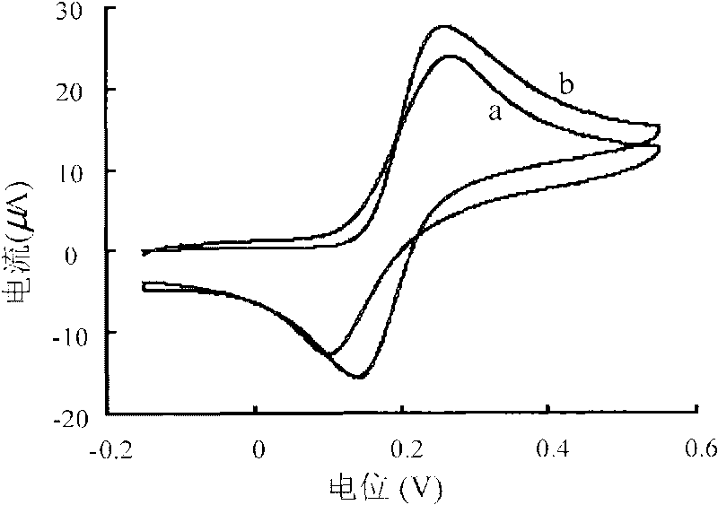 Novel carbon paste electrode and preparation method thereof