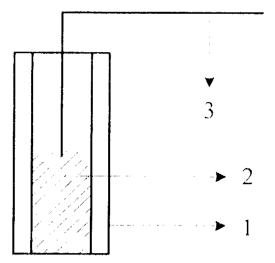 Novel carbon paste electrode and preparation method thereof