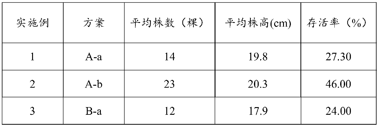 Soil reconstitution substance as well as preparation method and application thereof