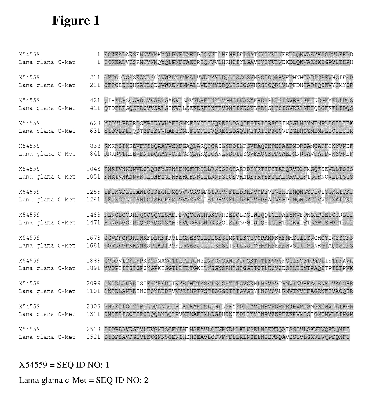 Chimeric human-llama antigens and methods of use