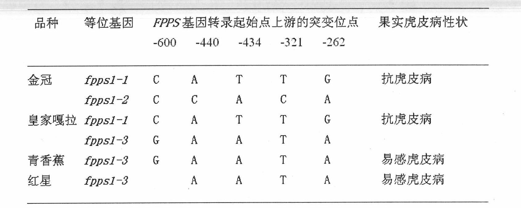 Three mutations of FPPS gene of Malus domestica Borkh. and identification method thereof