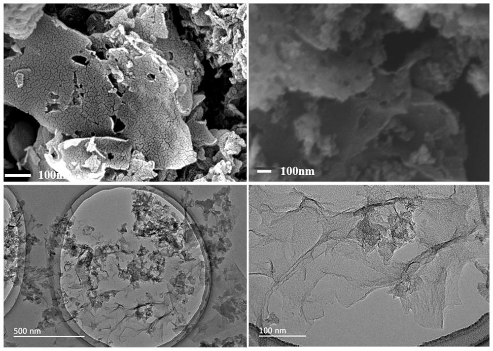 Folic acid derived Cu-CoNCNs catalyst and preparation and application thereof