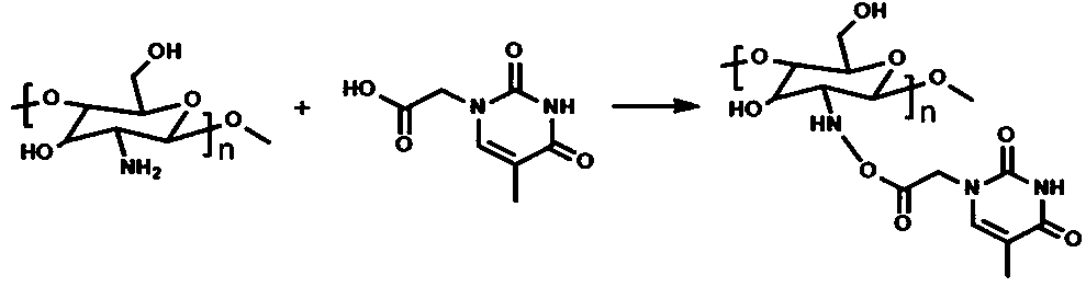 Preparation and detection method of mercury ion electrochemical biosensor