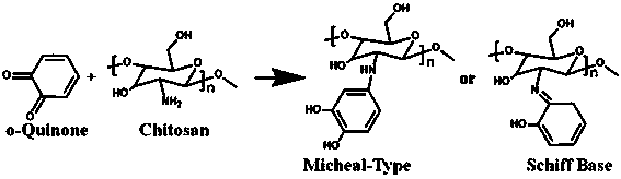 Preparation and detection method of mercury ion electrochemical biosensor