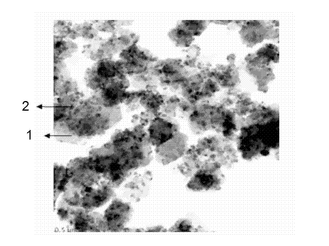 Inorganic nonmetallic mineral composite material loaded with titanium dioxide layer, preparation method and application thereof